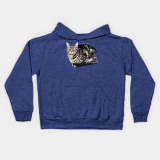 Tabby Cat Sitting Kids Hoodie